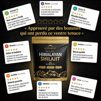 Alphavit Alphavit