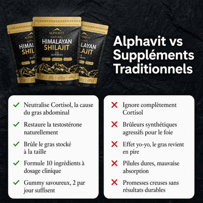 Alphavit Alphavit