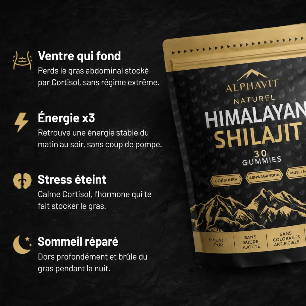 Alphavit Alphavit